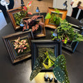6 Full Kits Family Bundle: 6 Frames, Planters, Lamps, Spray Bottles & Stands