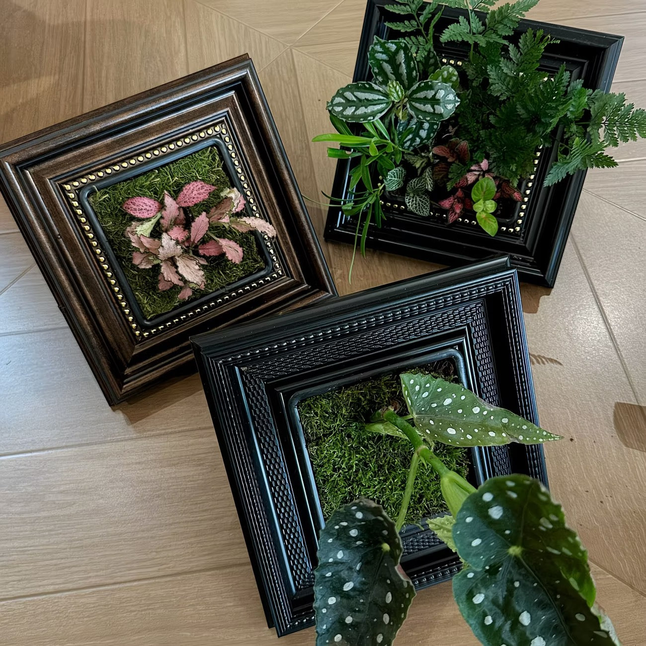 Triple Set Bundle (3 Full Kits)